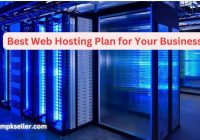 Best Web Hosting Plan for Your Business
