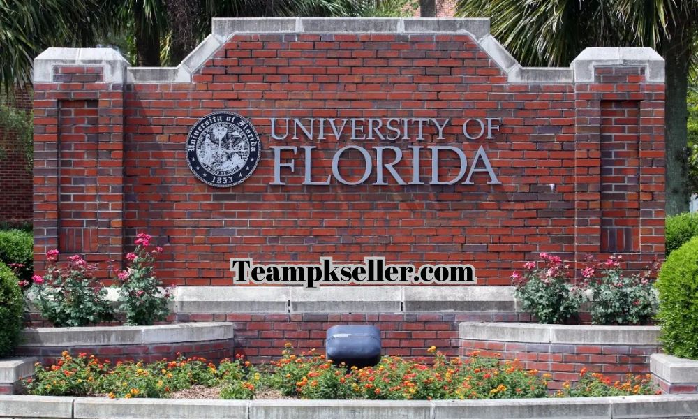 Top 5 University in florida in 2024 Reviews and Comments